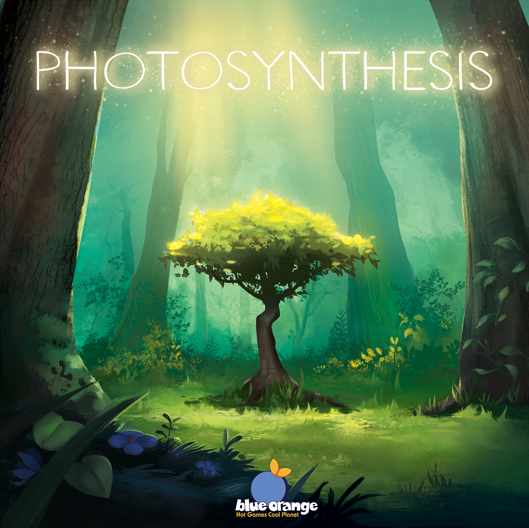 Photosynthesis (Bordspellen), Blue Orange