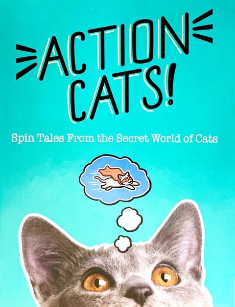 Action Cats (Bordspellen), Twogether Studios