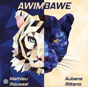 Awimbawé (Bordspellen), Explor8